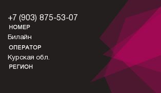 9038755307